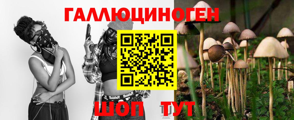 Псилоцибиновые грибы Psilocybine cubensis  Вход с VPN  Стрежевой 